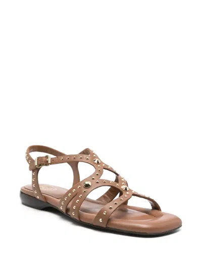 Ash Ruby Cinnamon Flat Sandal In Brown