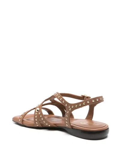 Ash Ruby Cinnamon Flat Sandal In Brown