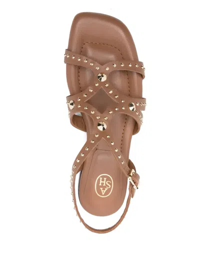 Ash Ruby Cinnamon Flat Sandal In Brown