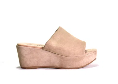 Cordani Riley Wedge In Granito Corda/cork