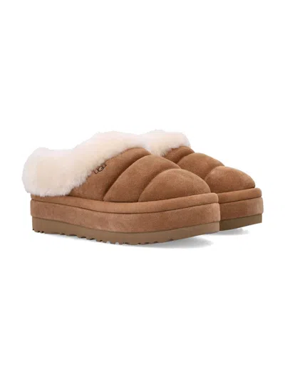 Ugg Woman's Tazzlita