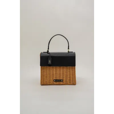 Modern Picnic The Luncher Lunch Box