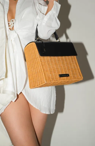 Modern Picnic The Luncher Lunch Box