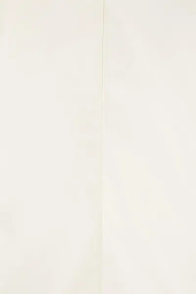 Maria Calderara Sleeveless Pleated Blouse