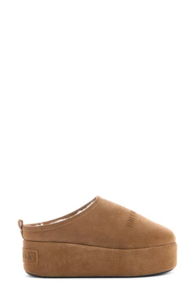 Balenciaga Women Alaska Soft Suede Mule With Plateau In Brown
