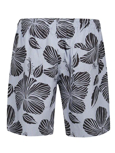 Msgm Shorts