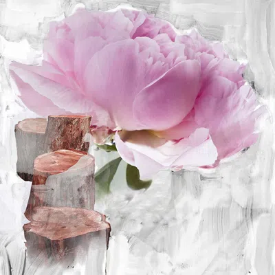 Byredo Blanche Body Lotion