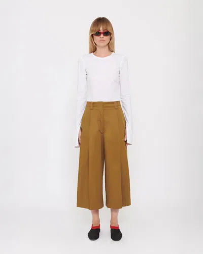 The Latest Beba Turtledove Trouser In Brown
