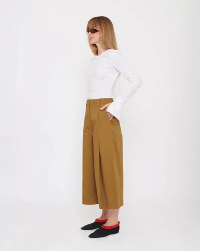 The Latest Beba Turtledove Trouser In Brown