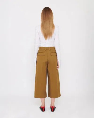 The Latest Beba Turtledove Trouser In Brown