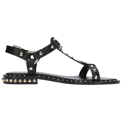 Ash Patsy Stud Ankle Strap Sandal In Black