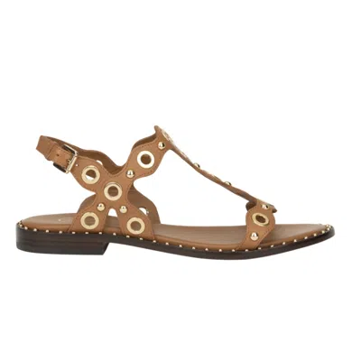 Ash Flat Sandals With Wave Pattern In Brown