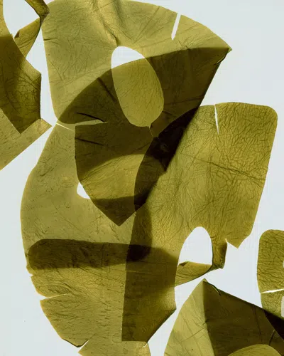 May Botanicals Kelp! Seaweed Sheet Mask Set Of 4