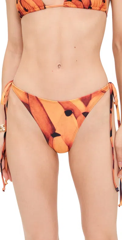 Donde Esteban Bananas Bikini Bottoms In Orange