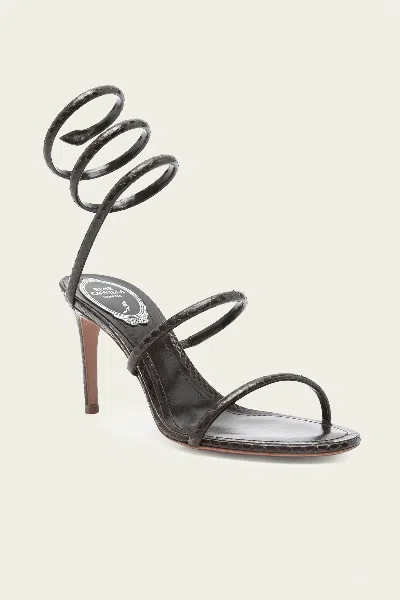 René Caovilla Heeled Sandal Rene Caovilla Woman Color Brown In Black