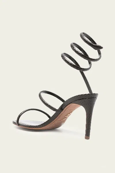 René Caovilla Heeled Sandal Rene Caovilla Woman Color Brown In Black