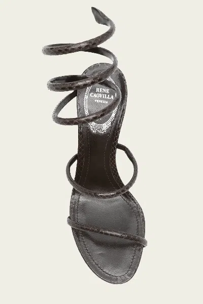 René Caovilla Heeled Sandal Rene Caovilla Woman Color Brown In Black