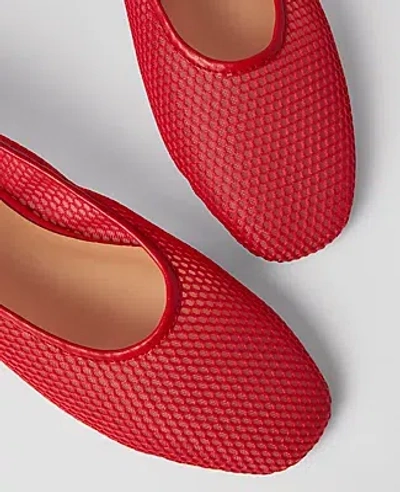 Ann Taylor Mesh Ballet Flats