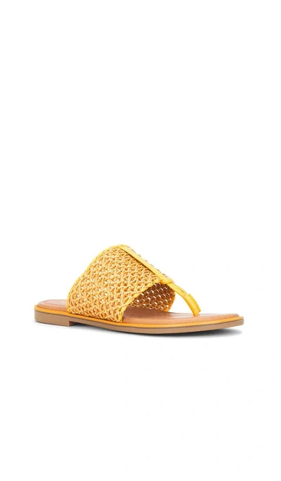 Seychelles Florence Woven Sandal In Orange