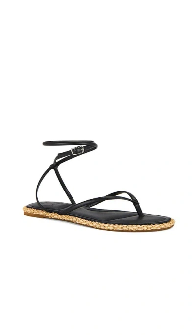 Dolce Vita Cove Sandals Black Leather