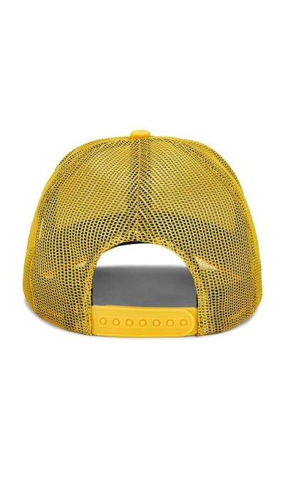 Philcos Cowboy Hat In Multi