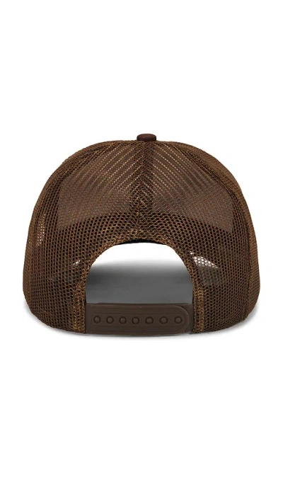 Philcos Yosemite California Hat In Brown
