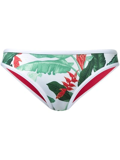 Shop Duskii 'oasis' Regular Bikini Bottom In Multicolour