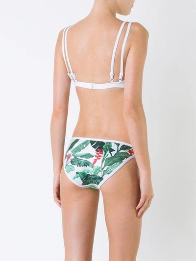 Shop Duskii 'oasis' Regular Bikini Bottom In Multicolour