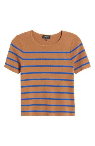 Tahari Asl Stripe Short Sleeve Sweater In Brown
