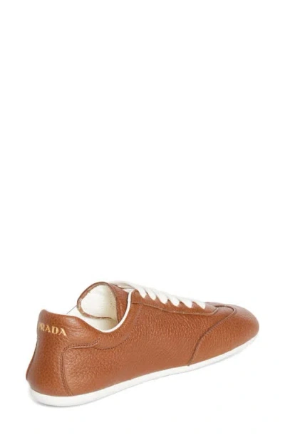 Prada Low Top Sneaker In Brown