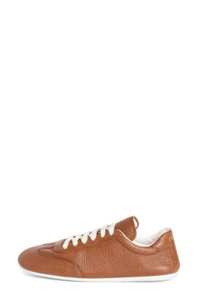 Prada Low Top Sneaker In Brown