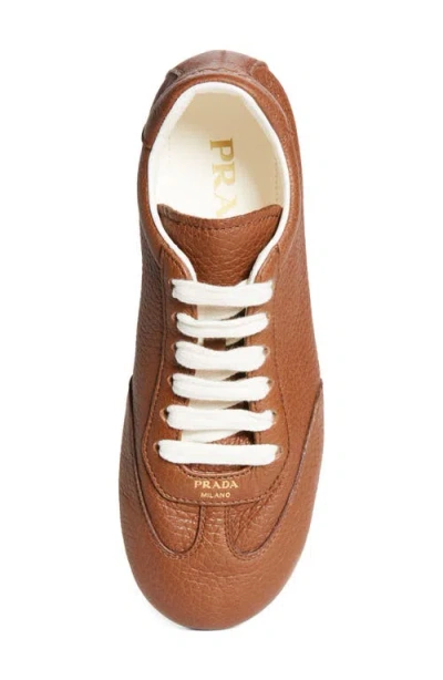 Prada Low Top Sneaker In Brown