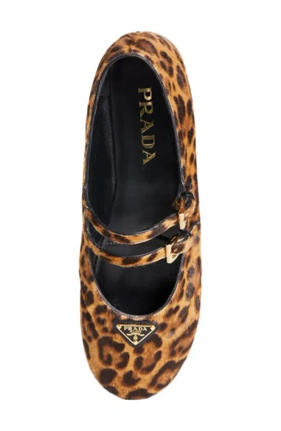 Prada Printed Leather Ballet Flats