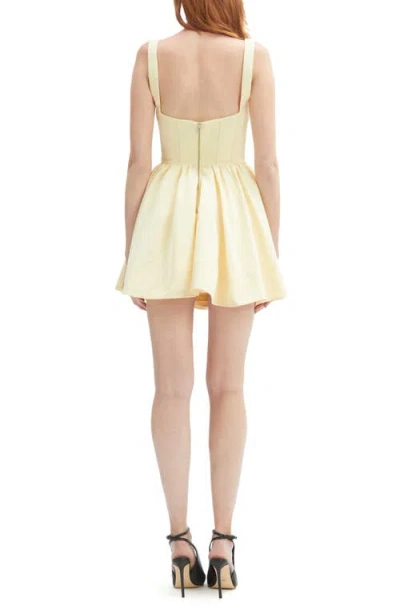 Bardot Larson Corset Fit & Flare Minidress