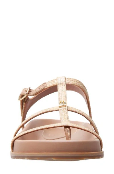 Linea Paolo Lilith Ankle Strap Sandal In Brown