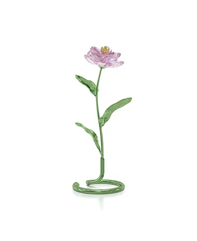 Swarovski Florere Pfingstrose