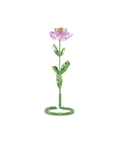 Swarovski Florere Pfingstrose