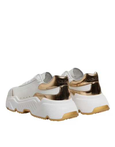 Pre-owned Dolce & Gabbana White Gold Daymaster Low Top Sneakers Women's Shoes ()