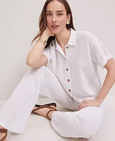 Ann Taylor Petite Weekend Collection Mesh Sweater Pant