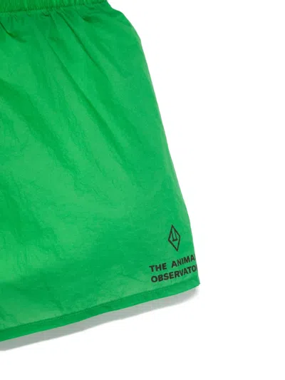 The Animals Observatory Spider Shorts