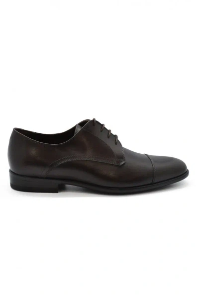 Alberto Lace Up Shoes