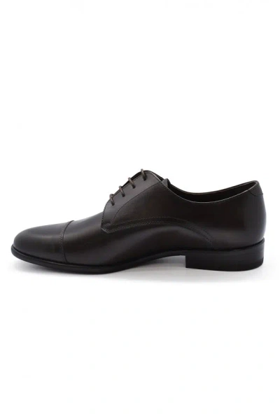 Alberto Lace Up Shoes