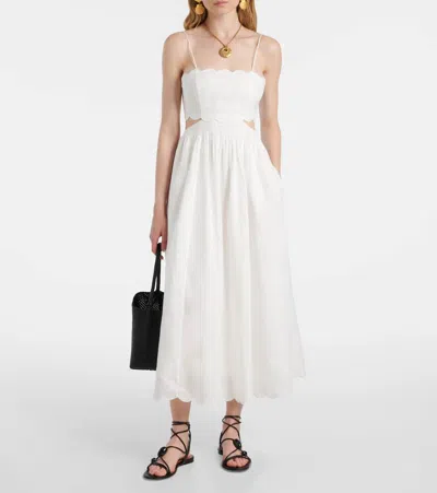 Zimmermann Dolce & Gabbana Black Acetate Sunglasses In White