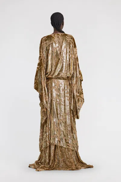 Roberto Cavalli Long Velvet Devore Gown In Brown