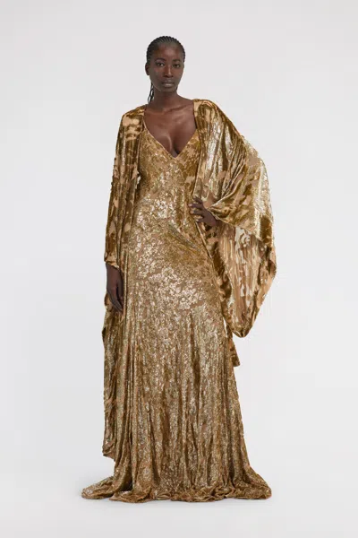 Roberto Cavalli Long Velvet Devore Gown In Brown