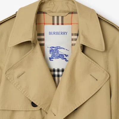 Burberry "highbury" Trench Coat In Green