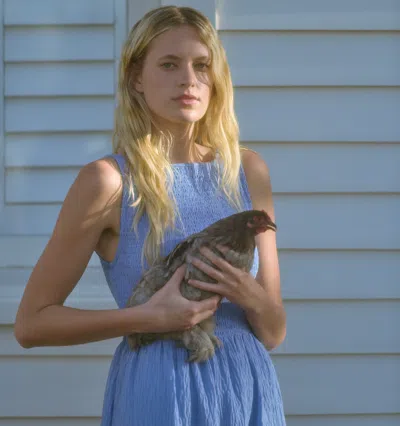 Hill House Home The Cosima Nap Dress Blue Stripe