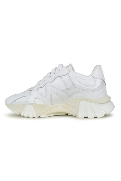 Versace Squalo Sneakers In White