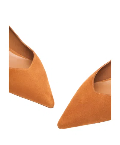 Stuart Weitzman Eva Kitten Heel Pointed Toe Pump In Brown
