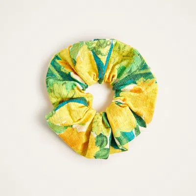La Doublej Scrunchie Set In Multi